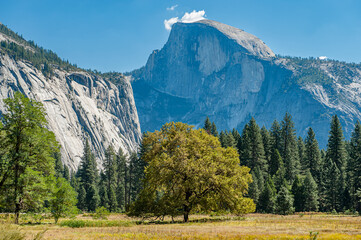 Half Dome and Yosemite Valley in Yosemite National Park during September in California. Formed in 1890 this is one of the oldest and most famous National Parks in the United States. - 764041674