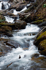 Fototapeta premium Stream in the mountains near Anna Ruby Falls