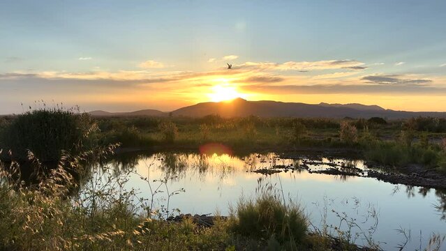 Pond at sunset against of mountains. Mountains landscape on sunset. Lake in wild with birds at sunset. Bird watching in Marjal dels Moros in Sagunt,Pucol, Valencia, Spain. Wetland maintenance. 
