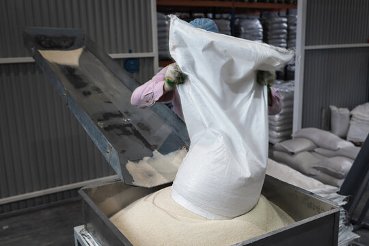 A worker at a manufacturing plant pours a bag of sugar onto a conveyor belt for further processing