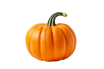 pumpkin isolated on white background