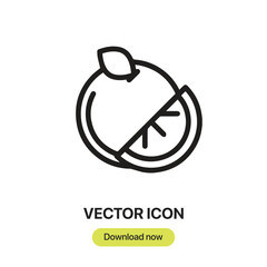 Orange icon vector. Linear-style sign for mobile concept and web design. Orange symbol illustration. Pixel vector graphics - Vector.	