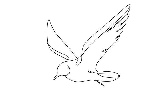 animated continuous single line drawing of a flying seagull, line art animation