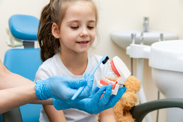 Female dentist teaches a little girl how to brush her teeth properly with jaw model and toothbrush. The concept of oral care. concept of dentistry. children's dentist. plasma structure of the jaw