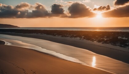 A serene beach at sunset with the golden sunlight reflecting on the wet sand and the tranquil waves, under a softly clouded sky