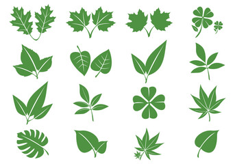 Leaf icons Green color. Set of green  Leafs green color icon logo. Leaves on white background. Ecology. Vector illustration.