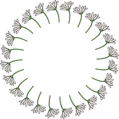 Round frame with stylish vertical chamomile on white background. A vector image.