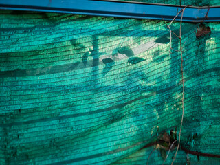 Closeup of shading net for covering rain, sunlight and protecting plants. green shading net texture background.
