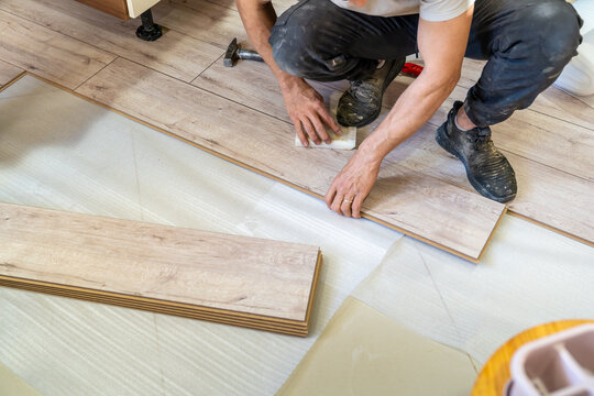 Laminate Master Man Laying Wooden Laminate Parquet On The Floor. Home Renovation With Ceramic Floors.