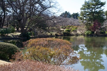 Scenery of a park with a pond in early spring