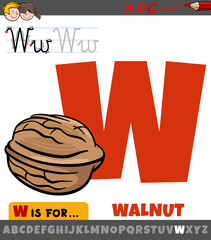 letter W from alphabet with cartoon walnut object
