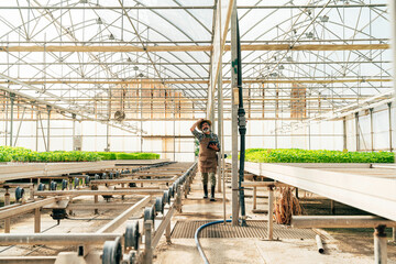 Naklejka premium Farmer senior man working in his farm and greenhouse