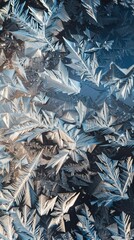 Abstract pattern of frost on glass