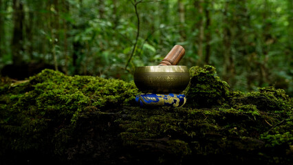 healing bowl greenery forest background