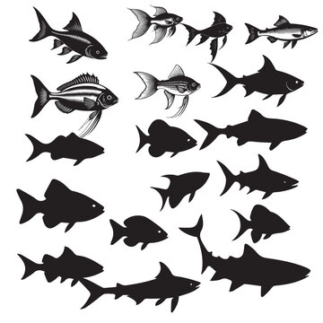 Fish silhuette illustration black and white vector image