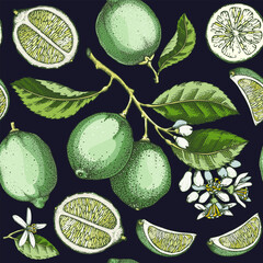 Exotic plants seamless pattern. Lime fruit and flowers sketches. Botanical background. Citrus fruit texture. Hand drawn vector illustration. NOT AI generated - 764072205