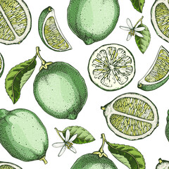 Lime fruit seamless pattern. Citrus fruit sketches. Botanical background. Exotic plants watercolor texture. Hand drawn vector illustration. NOT AI generated - 764073276
