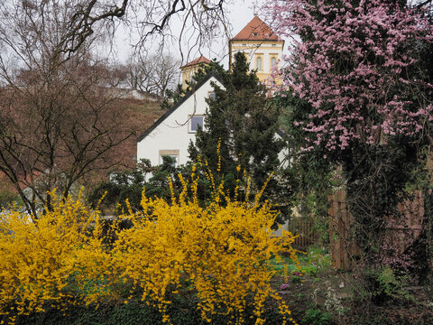 Altstadt in Dachau im Fr&uuml;hing