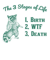 The 3 states of life 1. birth 2. wtf 3. death raccoon Funny Vintage Animal Saying for Print on T-shirt, Apparel, Sweatshirt, graphic tee digital download file SVG vector file illustration