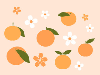 Orange fruit, green leaves and cute flower on orange background vector. 