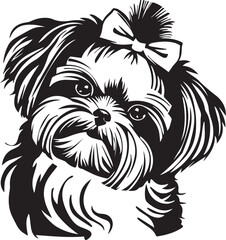 black and white shih tzu dog with bow