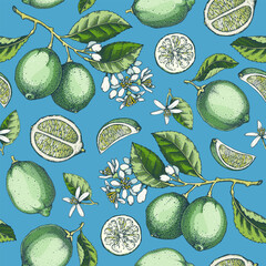 Ecotic plants seamless pattern. Citrus fruit sketches. Botanical background. Citrus fruit texture. Hand drawn vector illustration. NOT AI generated - 764083428