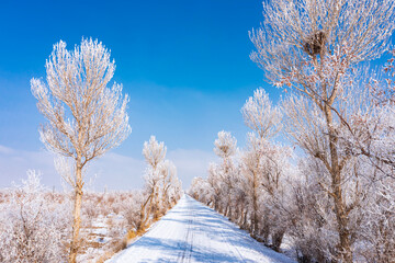 Aerial photo of snow on a rural forest road in Jiuquan, Gansu Province, China