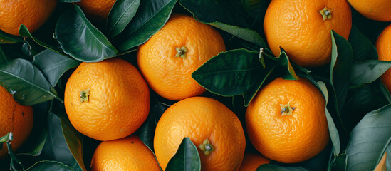 Citrus background. 