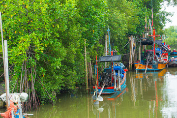 Mangrove forests and small fishing boats in Asia