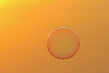 Soap bubbles floating in the air during sunset.