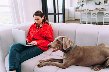  Woman playing with her dog in the living room and working with computer
