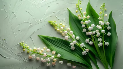 Fotobehang lilies of the valley on a light green background © Ольга Дорофеева