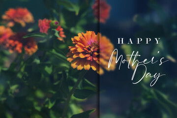 Happy Mothers day greeting with zinnia flower garden background. - 764099458