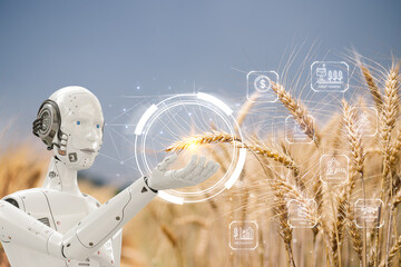Smart virtual artificial intelligence (AI) robot is inspecting a barley field in soil plant quality...
