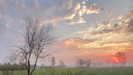 sunset in the forest Field setting sun evening time red yellow black clouds cold weather villages...