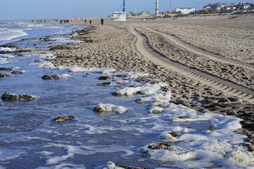 Strand an der Ostsee in Warnemuende