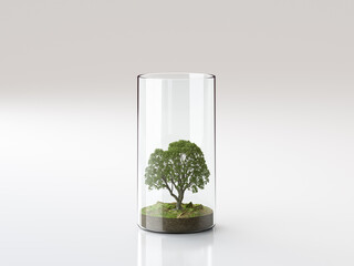 Baum im Glas