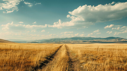 Obraz premium A road cuts through a field of tall grass