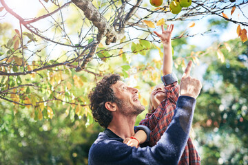 Father, daughter and picking apples in autumn with trees, leaves and curious for ecosystem and...