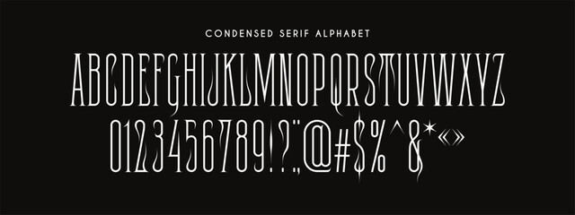Vector Alphabet Set. Latin Elegant Condensed Serif Letters and Number. Typography Modern Narrow Font. - 764119823