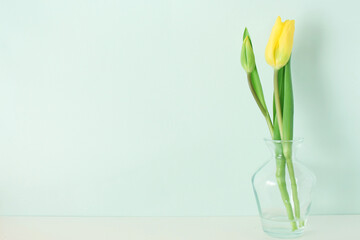 チューリップの花の背景