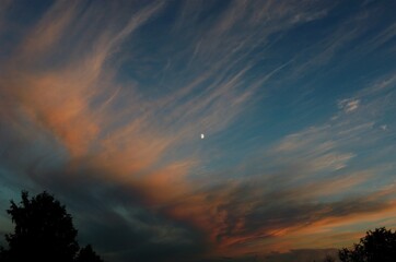 Fototapeta na wymiar Moon beautiful clouds evening sky