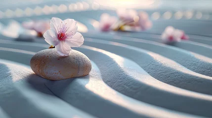 Crédence de cuisine en verre imprimé Pierres dans le sable Delicate cherry blossom rests on a smooth stone amidst raked sand patterns, evoking zen and tranquility.