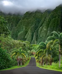 Green hawaii mountains with a single road © jdross75
