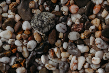 Sea stones of different colors on the shore in close-up
