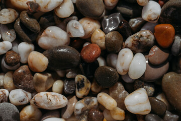 Sea stones of different colors on the shore in close-up
