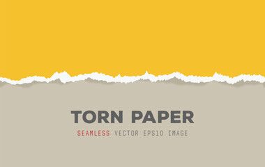 Horizontal seamless ripped paper