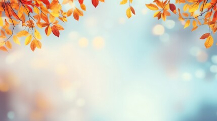 Beautiful autumn foliage background with brunches and falling tree leaves at sky with bokeh