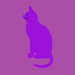 Purple cat on pink - 764137214