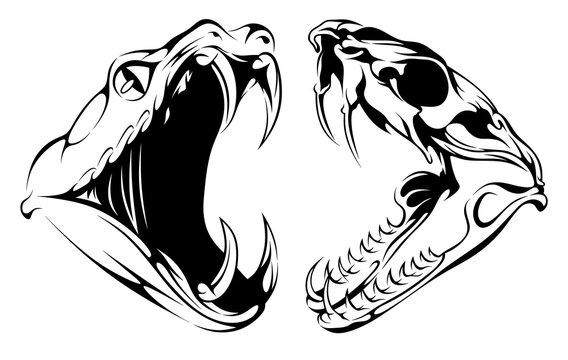 Venomous snake skull head with teeth. Monochrome logo with snake. Cobra bite. Bones reptile from the family of scaly snakes.